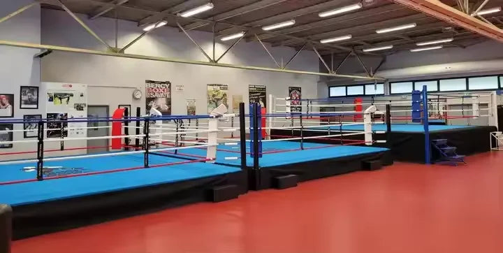 Factory Custom Logo MMA Elevated Boxing Ring Wrestling Ring Competition Standard for Sale
