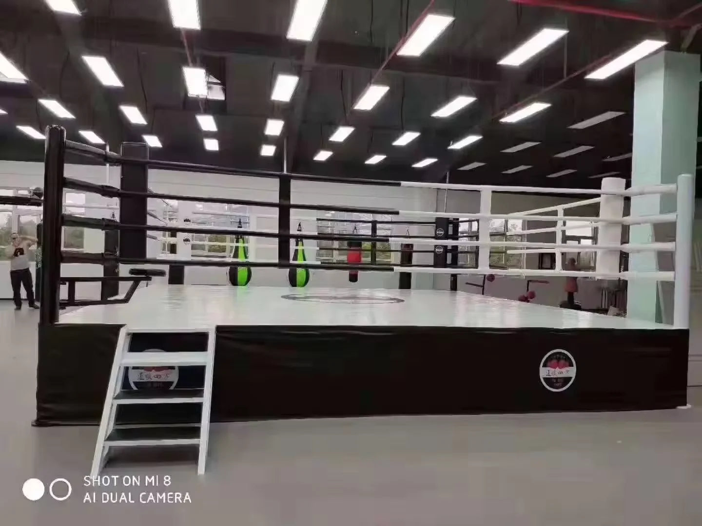 High Quality Cheap Custom Logo Portable Boxing Ring MMA Elevated Boxing Ring Wrestling Ring for Sale